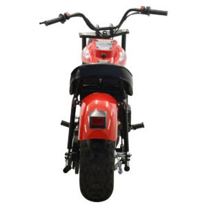 MINI BIKE 200 - Massimo Motor Canada